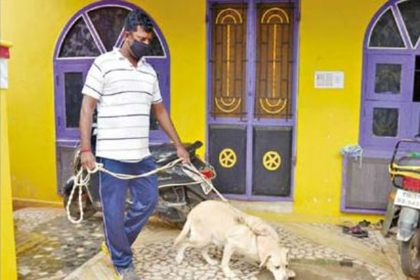 உடல்நலம்