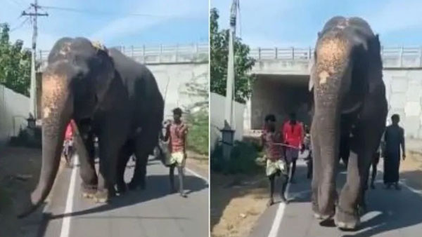கவலையில் ஆழ்த்தியுள்ளது