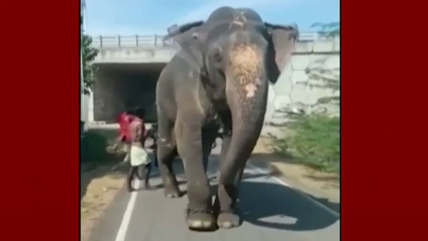 தீ வைத்த கொடூரர்கள்