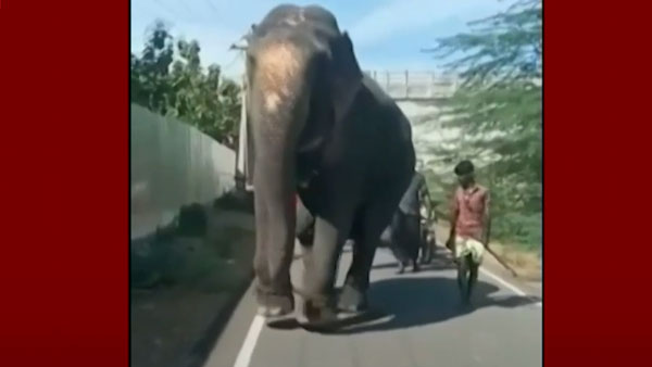 இன்னும் ஒரு கொடுமை