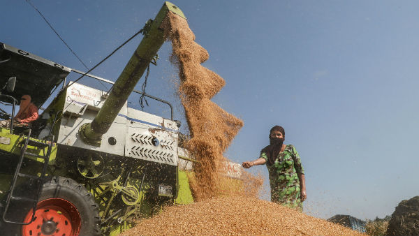 India to became a big rice supplier in world china India to became a big rice supplier in world china