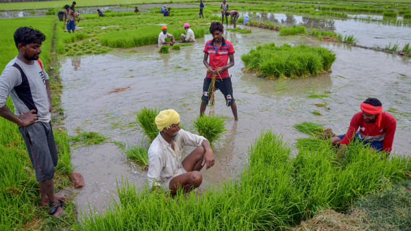 விலை 4.4% அதிகமாகும்