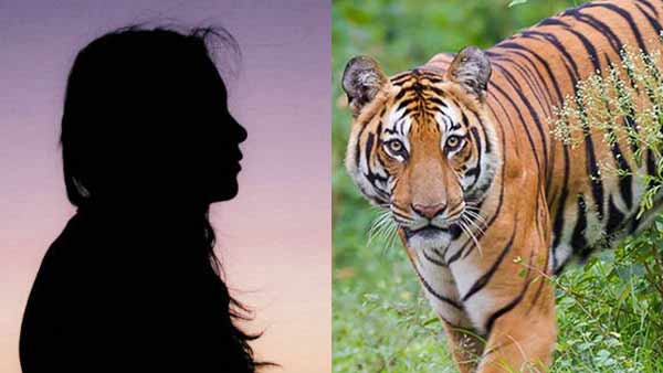 A 16 year old girl escaped from a tiger in Kodagu district of Karnataka A 16 year old girl escaped from a tiger in Kodagu district of Karnataka