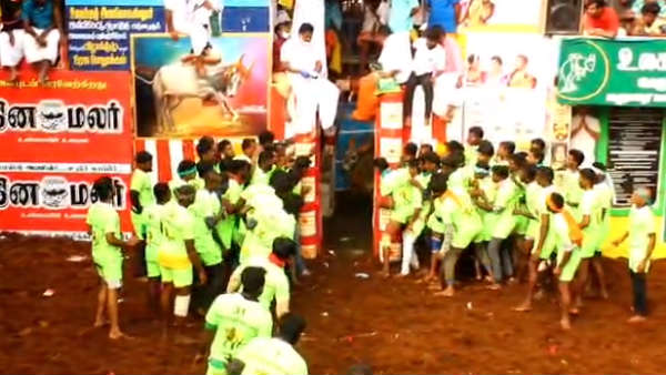 காளைகளால் காயமடைந்த வீரர்கள்