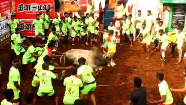 அலங்காநல்லூர் ஜல்லிக்கட்டு