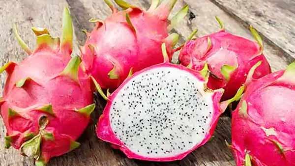 Lotus-shaped Dragon Fruit renamed as Kamalamin Gujarat Lotus-shaped Dragon Fruit renamed as Kamalamin Gujarat