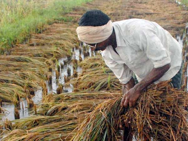 பாதிப்பு விவரம்