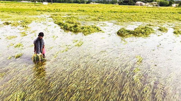 Heavy rain in delta districts of Tamilnadu Heavy rain in delta districts of Tamilnadu