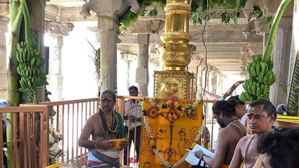 Thaipusam Jyothi darshan at Vadalur Cuddalore collector permits for Devotees Thaipusam Jyothi darshan at Vadalur Cuddalore collector permits for Devotees