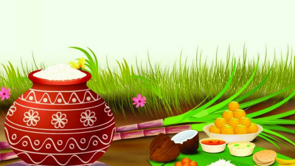 வாழ்த்தை அட்டைகள் இல்லை