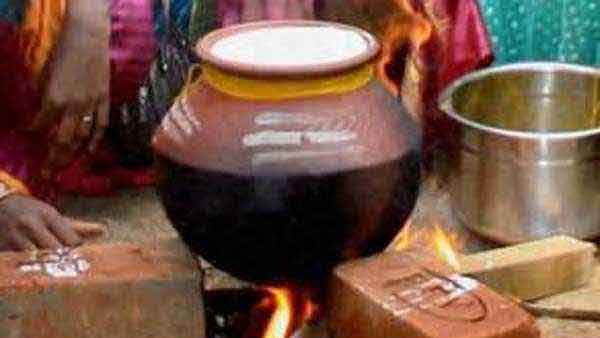 Thai Pongal 2021: Pongal Vaika Nalla neram Auspicious time for Pongal festival Thai Pongal 2021: Pongal Vaika Nalla neram Auspicious time for Pongal festival