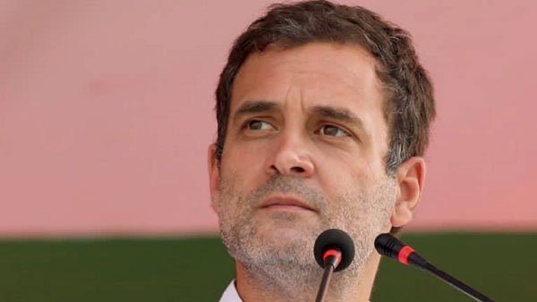 Rahul Gandhi says that Violence is not the solution for any problem Rahul Gandhi says that Violence is not the solution for any problem