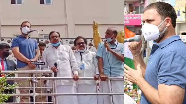 rahul gandhi translator fainted in erode during campaign rahul gandhi translator fainted in erode during campaign