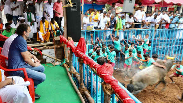 Rahulgandhi says, It is my duty to preserve the Tamil culture Rahulgandhi says, It is my duty to preserve the Tamil culture