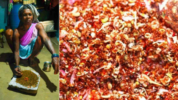 Tribess Red ant chutney medicine to Cure Coronavirus? Odisha HC issues notice to Centre Tribess Red ant chutney medicine to Cure Coronavirus? Odisha HC issues notice to Centre