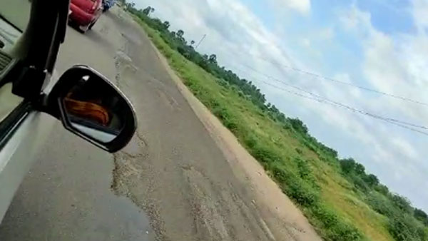 1,160 வெட்டப்பட்டது