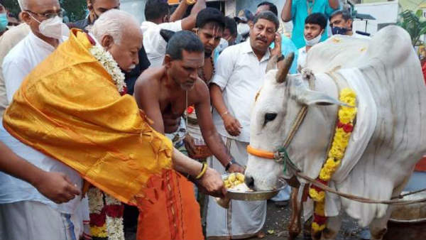 Rss President Mohan bhagwat says, Only pleasant words should be spoken Rss President Mohan bhagwat says, Only pleasant words should be spoken