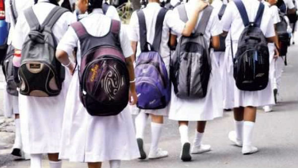 சத்து மாத்திரைகள்