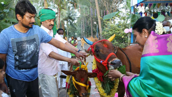 பசுவிடம் ஆசி