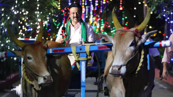 மாட்டு வண்டி ஓட்டிய ஸ்டாலின்
