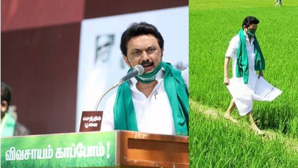 Stalin says, Supreme Court stays implementation of three Farm Laws is victory for farmers Stalin says, Supreme Court stays implementation of three Farm Laws is victory for farmers