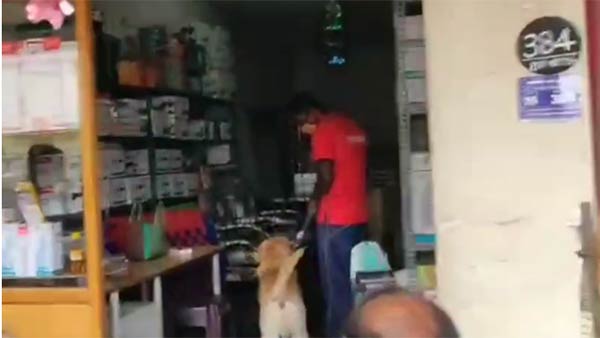 தப்பி ஓட்டம்