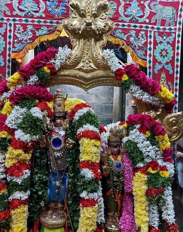 முருகனை காண வரும் பக்தர்கள்