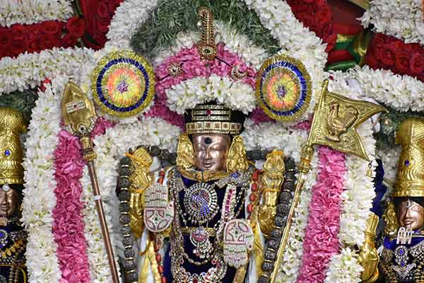 தைப்பூச தேரோட்டம்