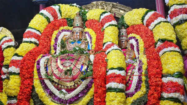 Thiruvannamalai Thiruvodal Festival: Annamalaiyar who gave darshan to Nandi - a view to the sun Thiruvannamalai Thiruvodal Festival: Annamalaiyar who gave darshan to Nandi - a view to the sun