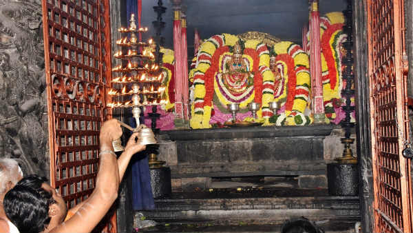 Thiruvannamalai Thiruvodal Festival: Annamalaiyar who gave darshan to Nandi - a view to the sun Thiruvannamalai Thiruvodal Festival: Annamalaiyar who gave darshan to Nandi - a view to the sun