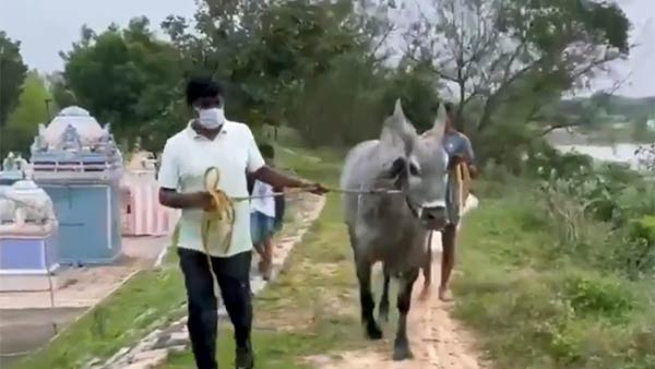 பயிற்சி