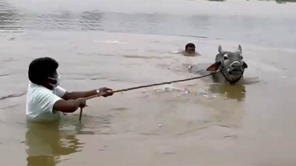 குளிக்க வைத்தேன்