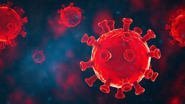 South Africa Virus variant detected in US for first time South Africa Virus variant detected in US for first time
