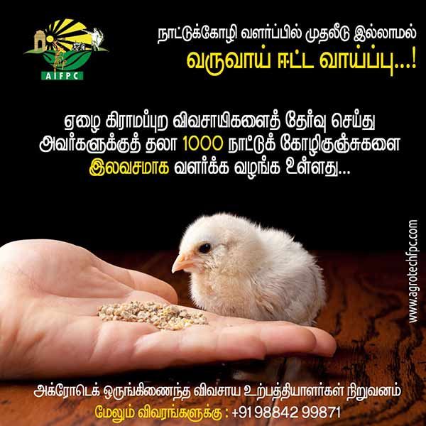 Agrotech invites investors to participate in Country chicken farming scheme Agrotech invites investors to participate in Country chicken farming scheme