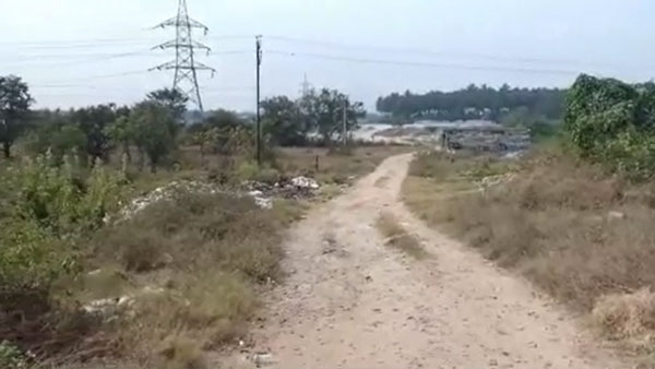 மொட்டை