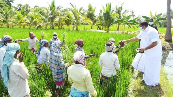 ரூ.12,000 கோடி பயிர்க்கடன் ரத்து