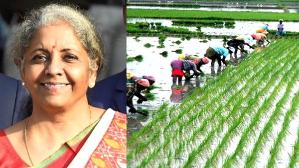 Budget 2021 FM Nirmala Sitharaman announcement for agriculture sector Budget 2021 FM Nirmala Sitharaman announcement for agriculture sector