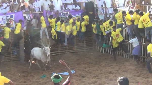 முதல் பரிசு கார்