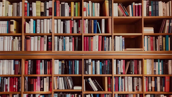 chennai HC judge has said Google can bring 1,00,000 answers, but a librarian can bring the right one chennai HC judge has said Google can bring 1,00,000 answers, but a librarian can bring the right one