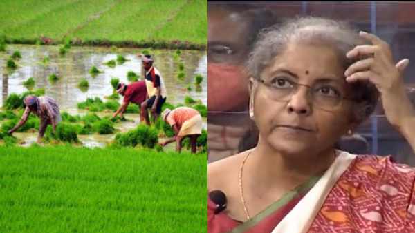 Multipurpose Seaweed Park to be established in Tamil Nadu, says Nirmala Sitharaman Multipurpose Seaweed Park to be established in Tamil Nadu, says Nirmala Sitharaman