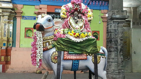 Runa Vimochana Pradosham Today: What are the benefits of doing Shiva Darshan? Runa Vimochana Pradosham Today: What are the benefits of doing Shiva Darshan?