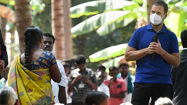 ராகுல் மீண்டும் பிரசாரம்