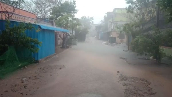 பழனியிலும் மழை