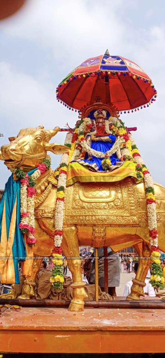Thai Amavasai Teerthavari in Rameswaram temple Thai Amavasai Teerthavari in Rameswaram temple