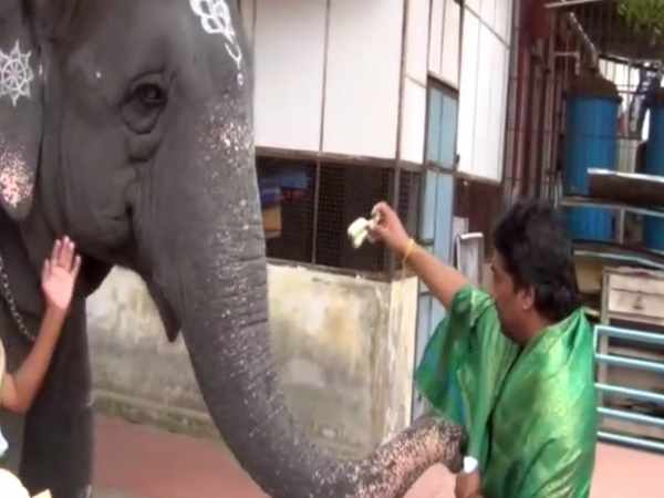 சுப்பிரமணிய சுவாமி தரிசனம்