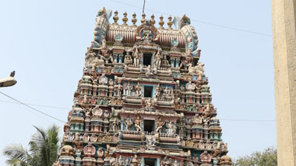 விதிமுறைப்படி