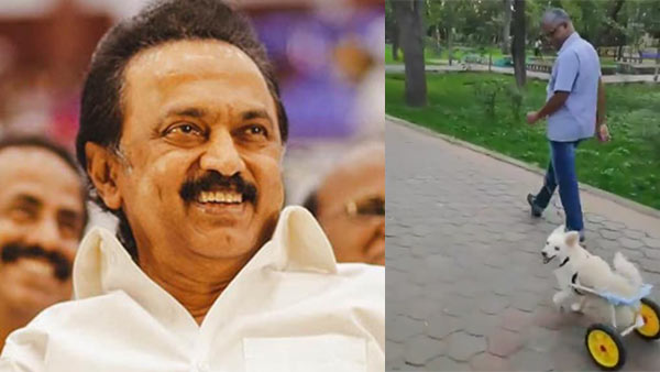 DMK Chief M.K.Stalin praises man who helped disabled dog DMK Chief M.K.Stalin praises man who helped disabled dog