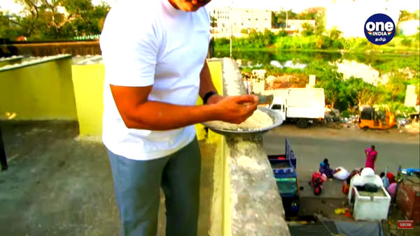 Sudarshan from Chennai feeds more than 4000 parrots daily Sudarshan from Chennai feeds more than 4000 parrots daily