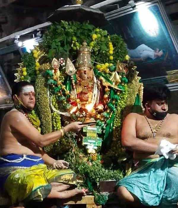 பச்சை சாத்தி