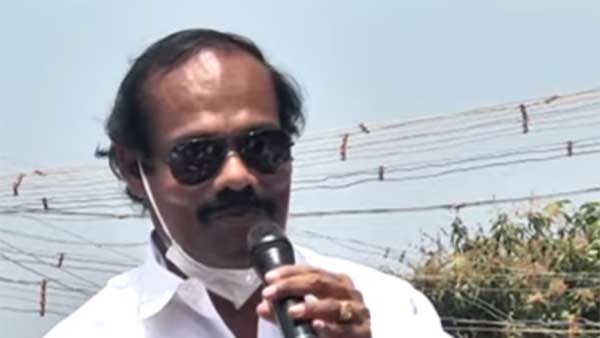 ஃபாரீன் மாடு